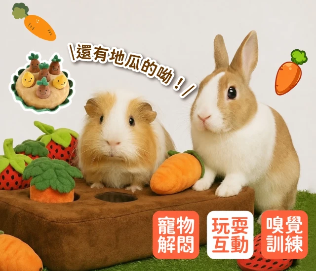 拔蘿蔔玩具