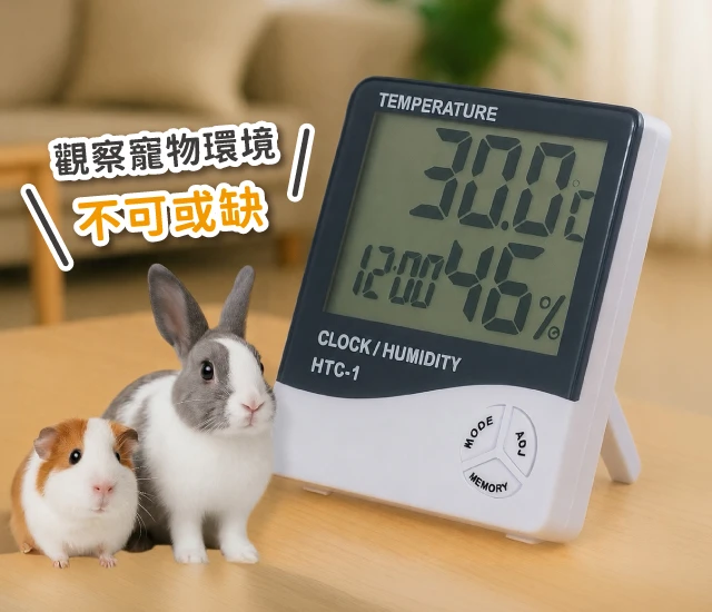 電子濕度溫度計