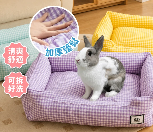 韓系透氣床(可拆洗)