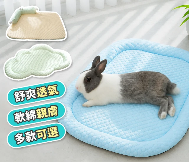 冰豆豆涼感冰絲墊
