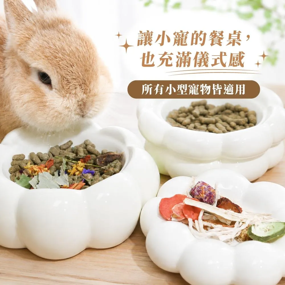 小寵花朵陶瓷盤