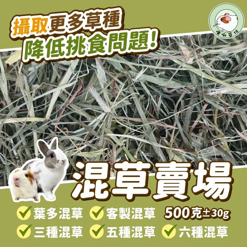 黃金比例混合牧草/客製混草