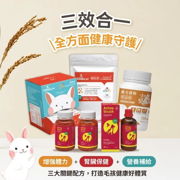 Citwo-增健勇/顧德盛/復益康