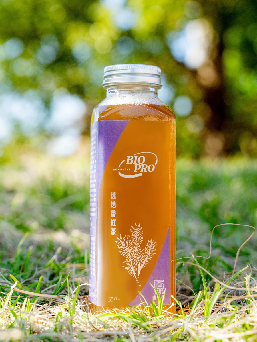 迷迭香紅茶 康普茶