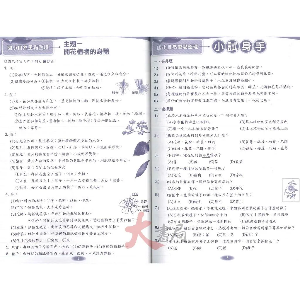 奧林匹克『自然競賽』11~20屆 歷屆試題 國小組 自然題型 自然題庫 3~6年級