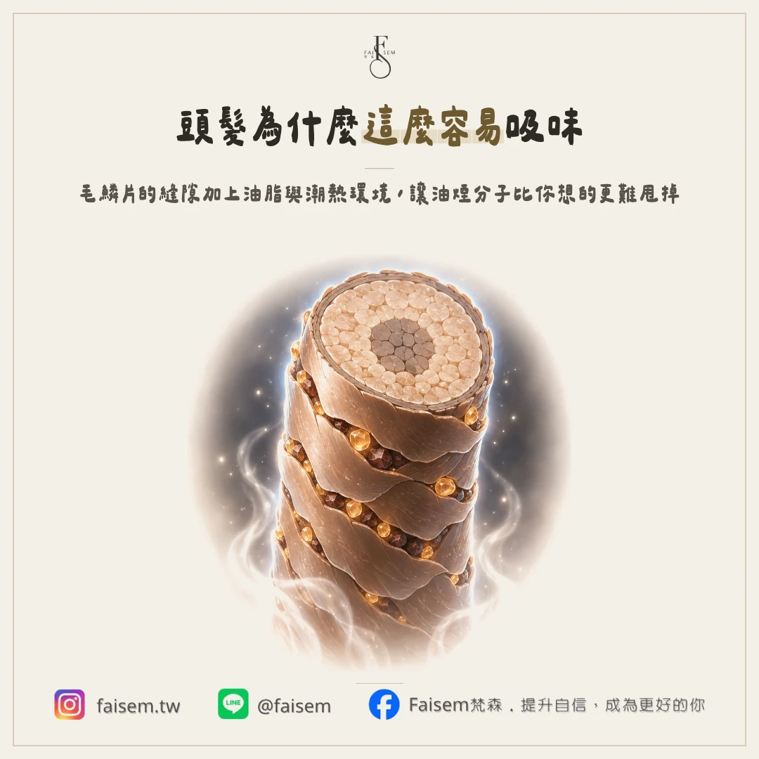 為什麼頭髮特別容易吸味道