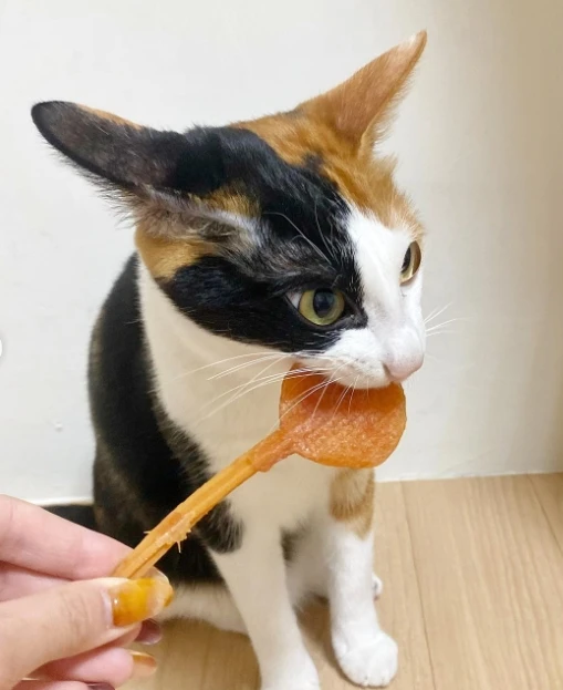 花椒 Chili
