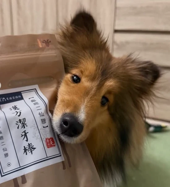 ：泥好…我可以吃一口嗎🐽