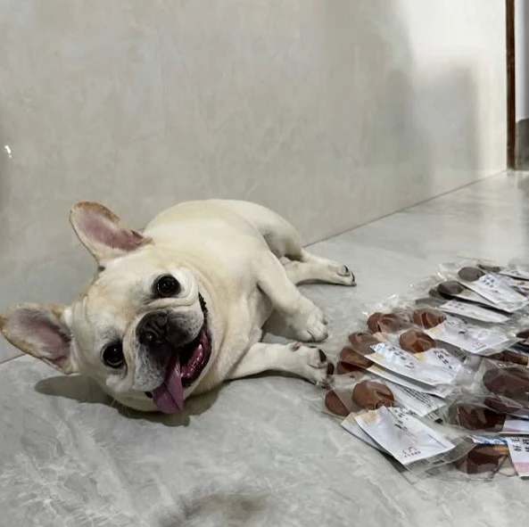 🐶毛孩好棒棒主題🥩🍭