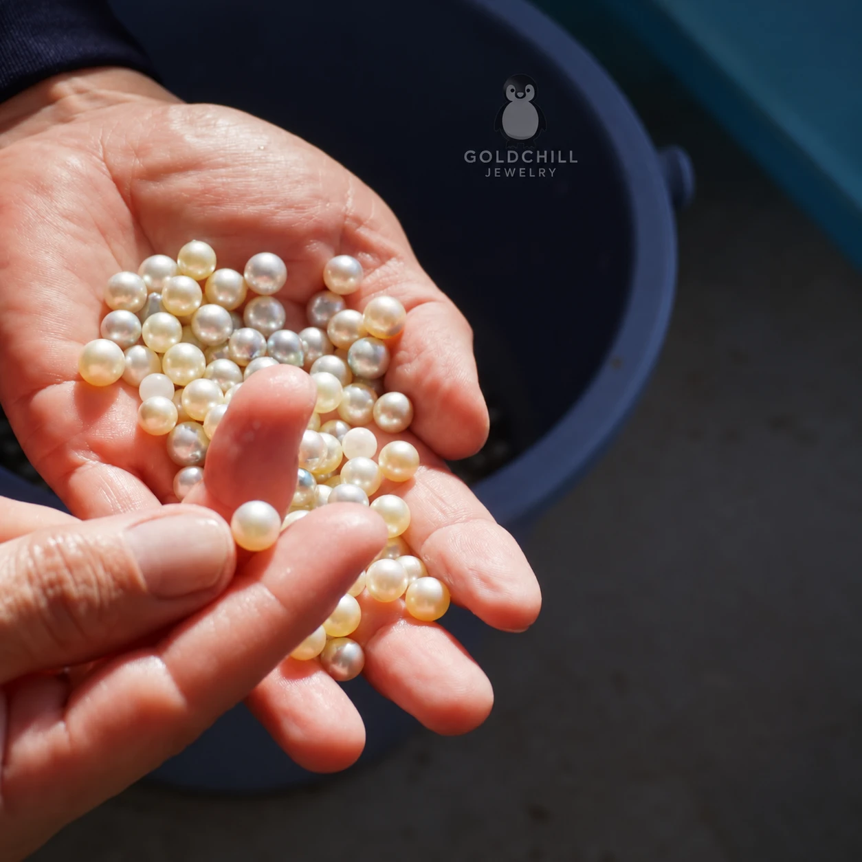 sorting-japan.jpg 採收後的日本 Akoya 海水珍珠，展示不同色澤、圓度與光澤的自然差異