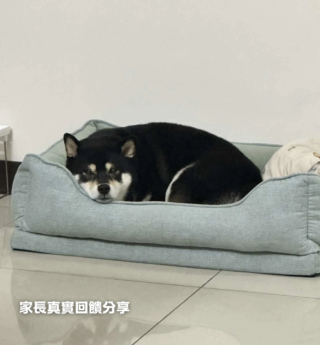 PWH方形款寵物窩