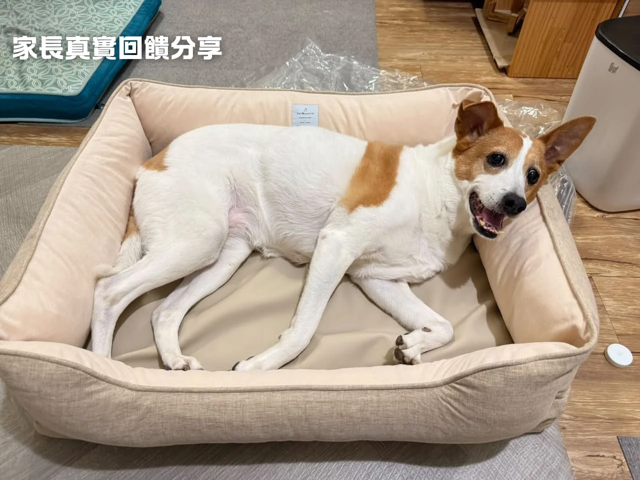 PWH方形款寵物窩