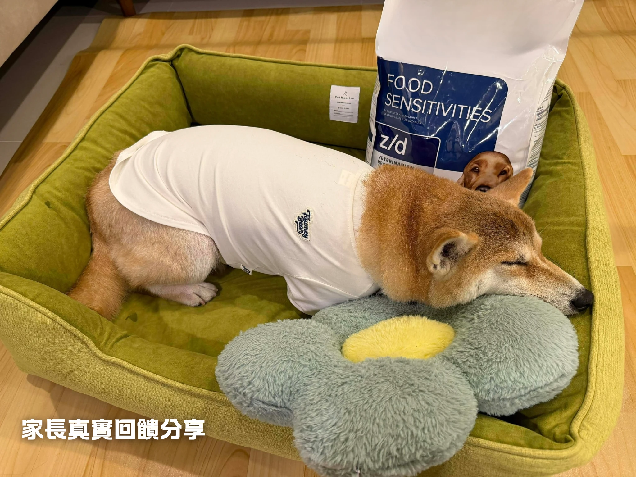 PWH方形款寵物窩