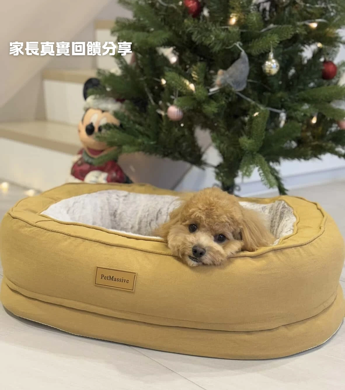 PWH寵物窩