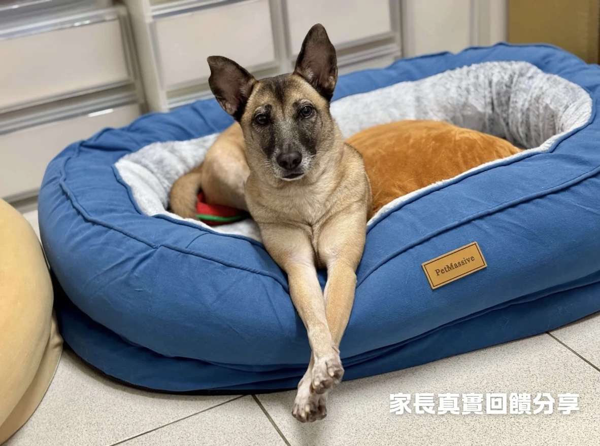 PWH秋冬寵物窩