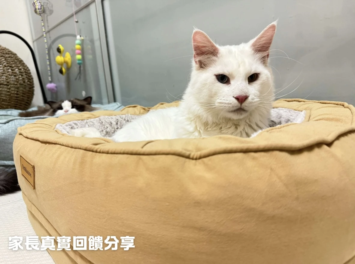 PWH秋冬寵物窩