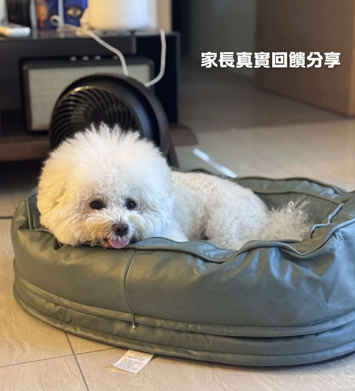 PWH寵物窩分享