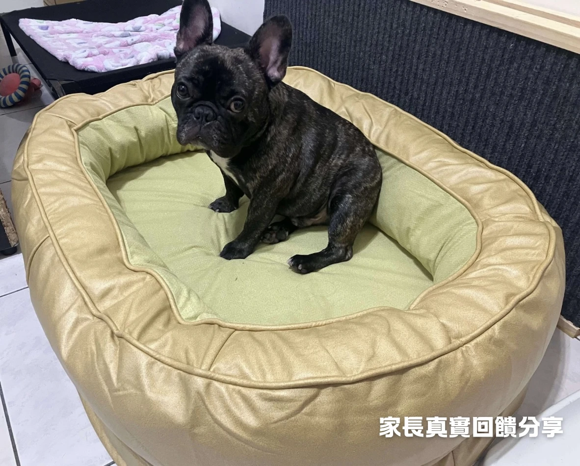 PWH寵物窩實拍分享