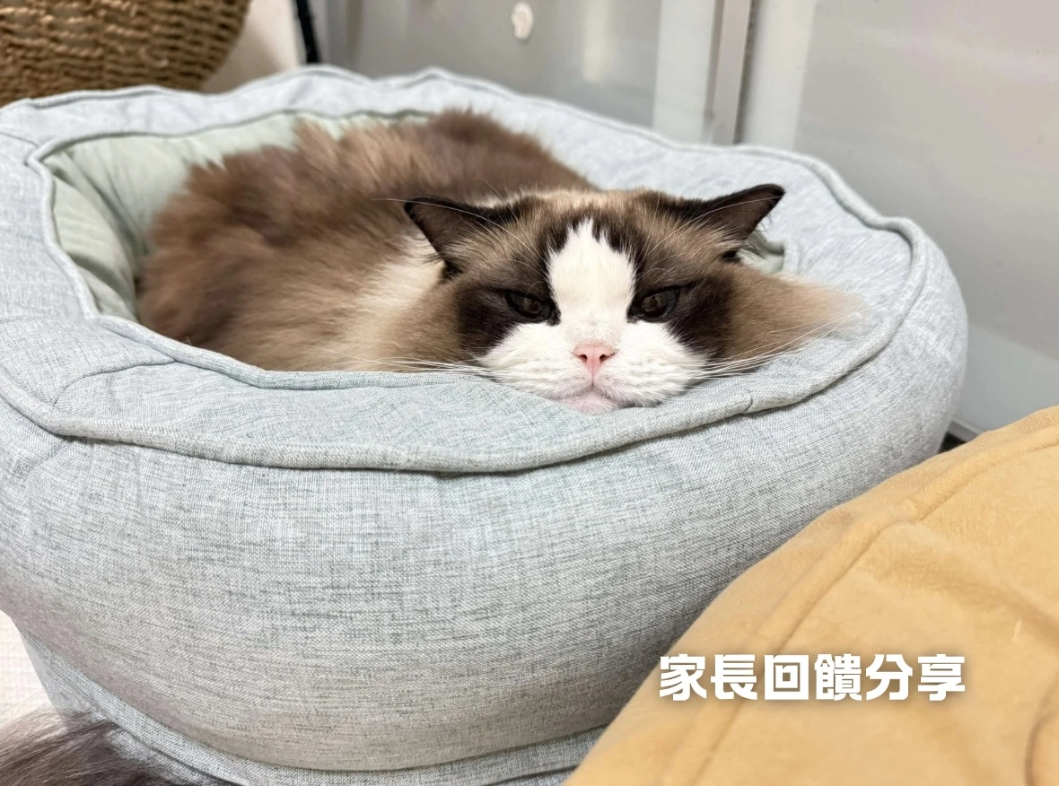 寵物窩家長回饋分享