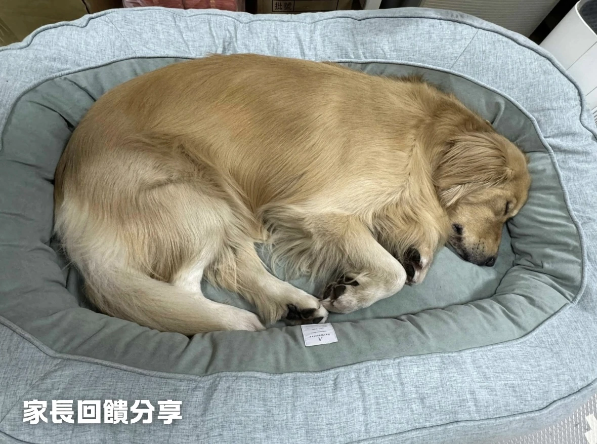 寵物窩家長回饋分享
