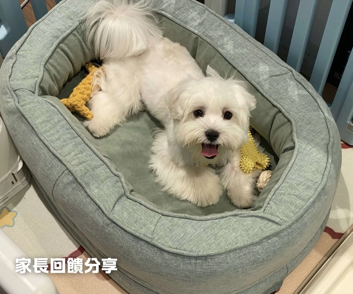 寵物窩家長回饋分享