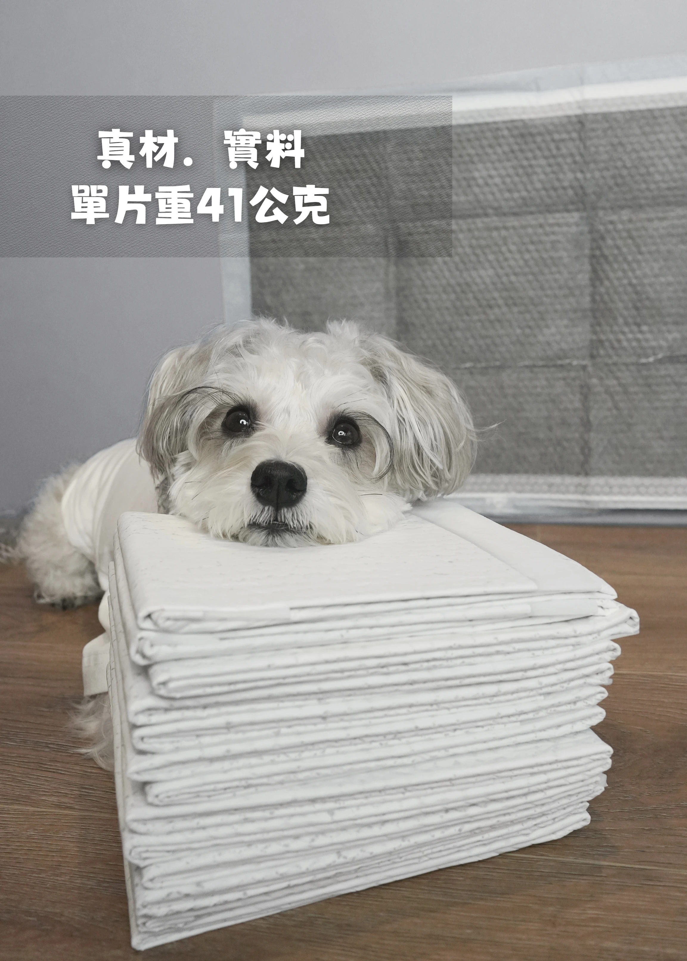 PWH寵物尿布墊
