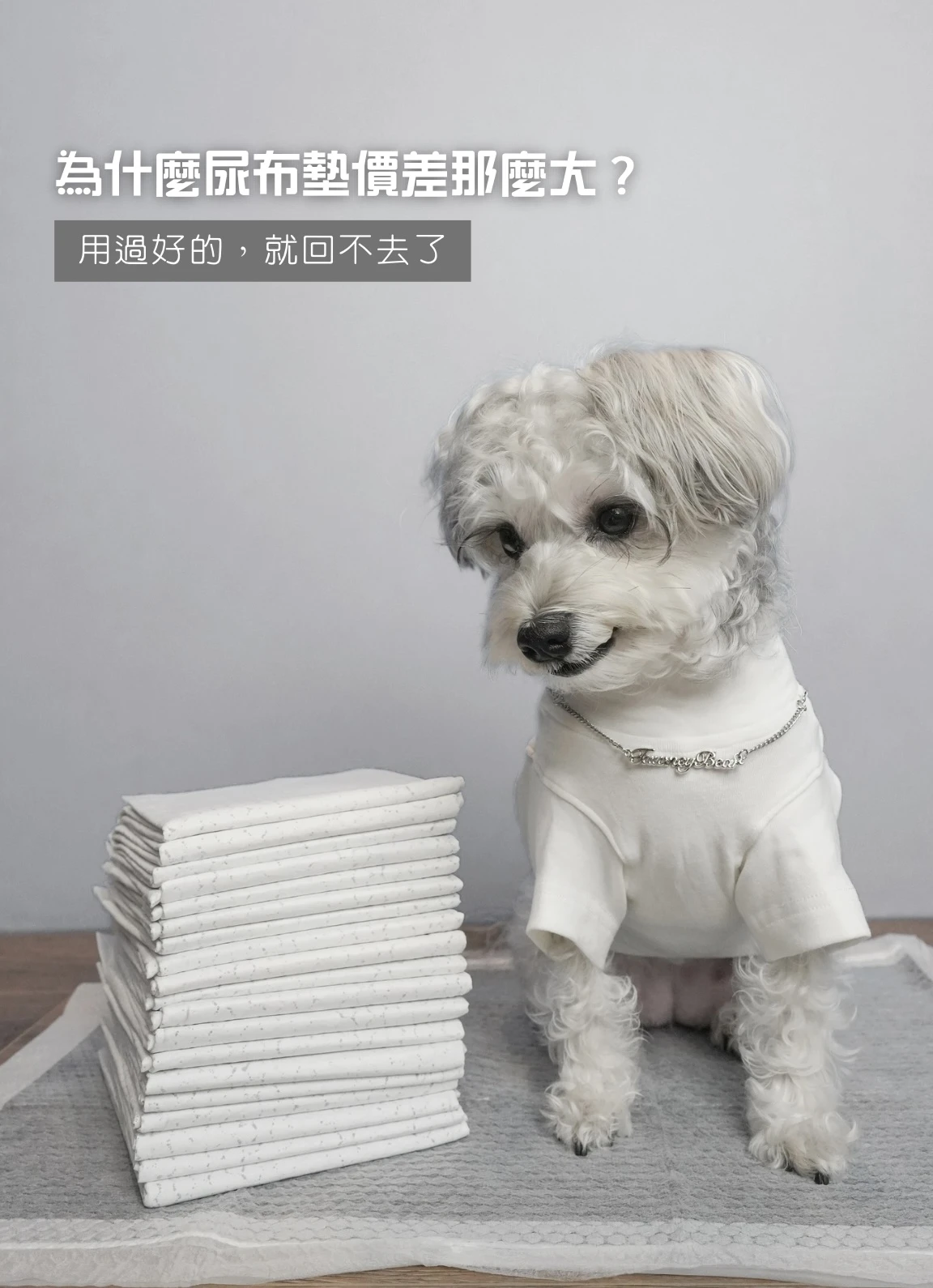 PWH寵物尿布墊
