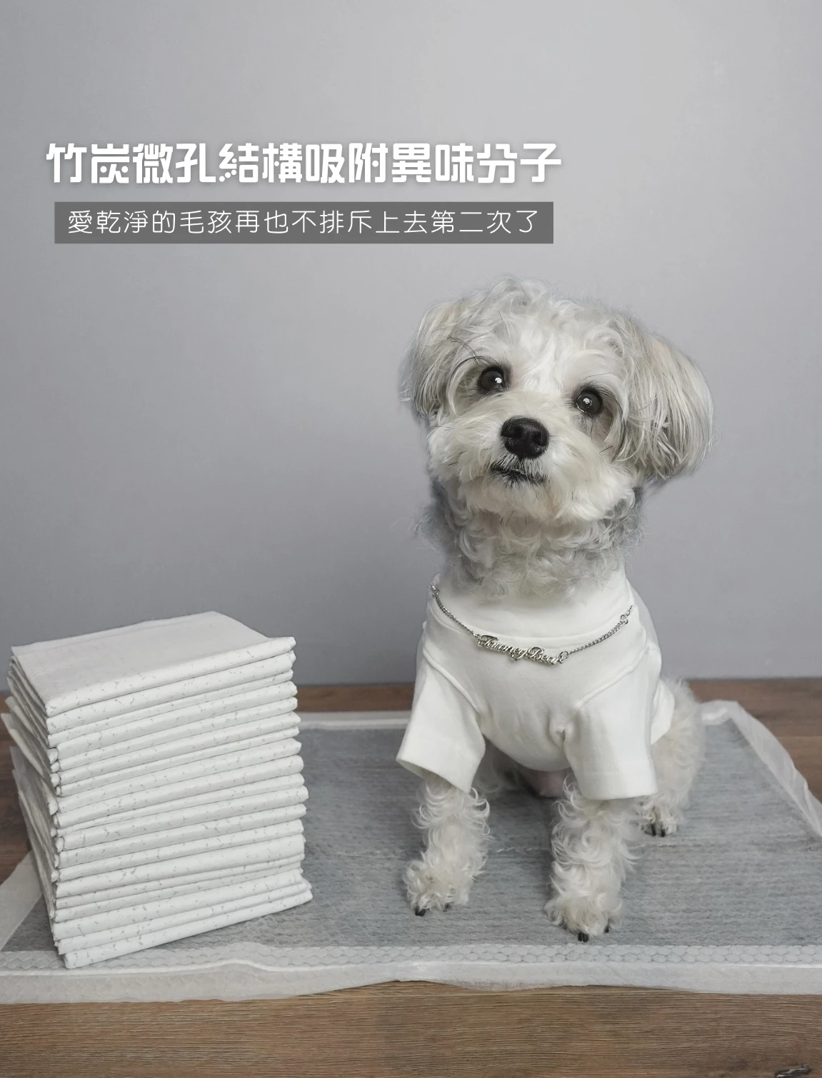 PWH寵物尿布墊