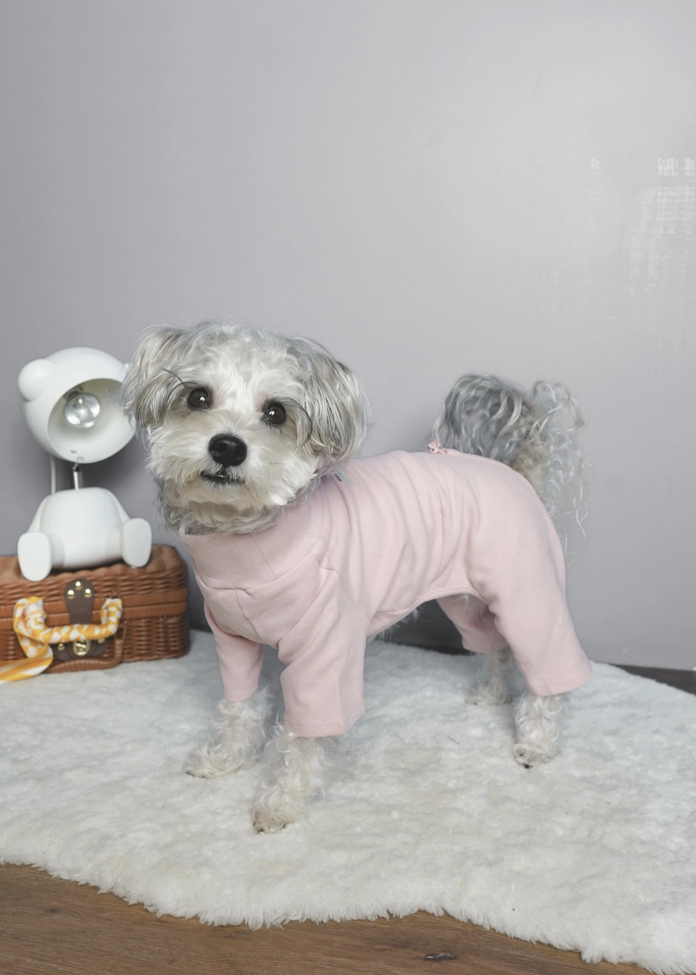 PWH寵物服飾