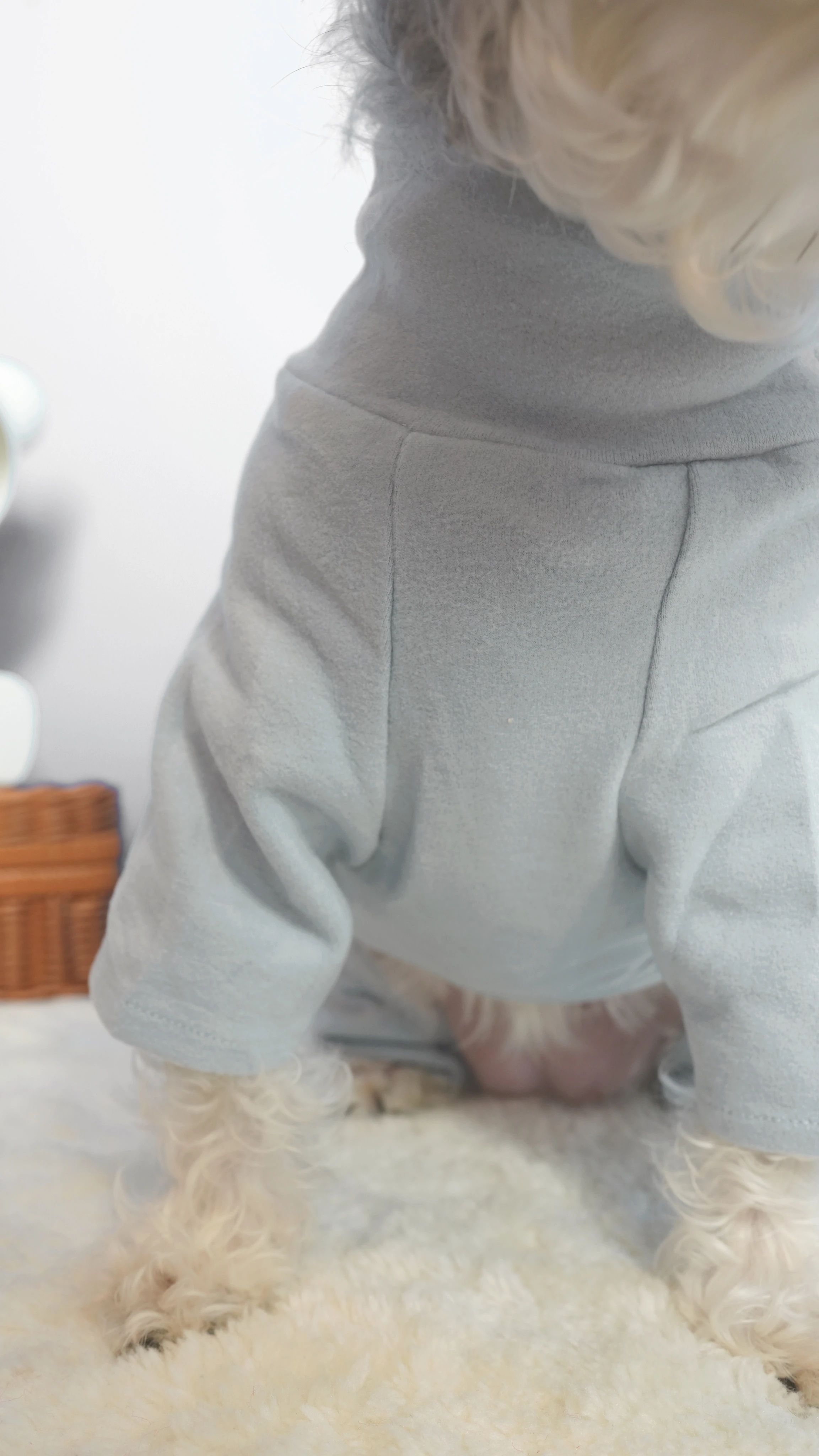 PWH寵物服飾