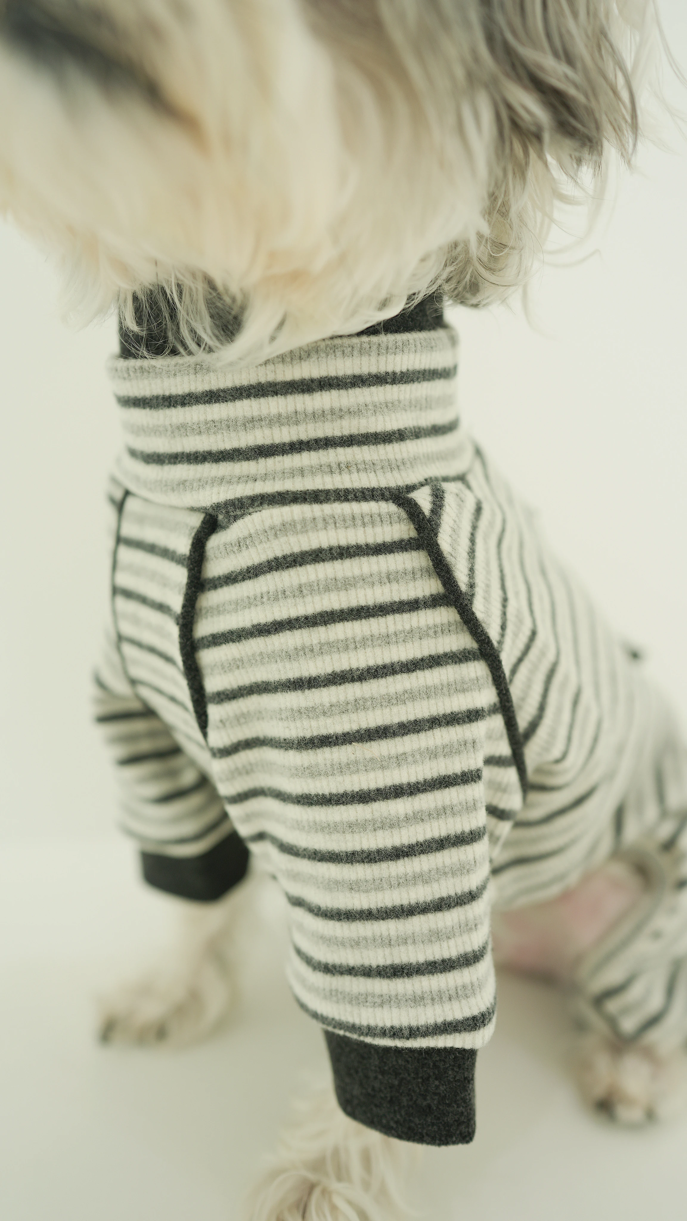 PWH寵物服飾