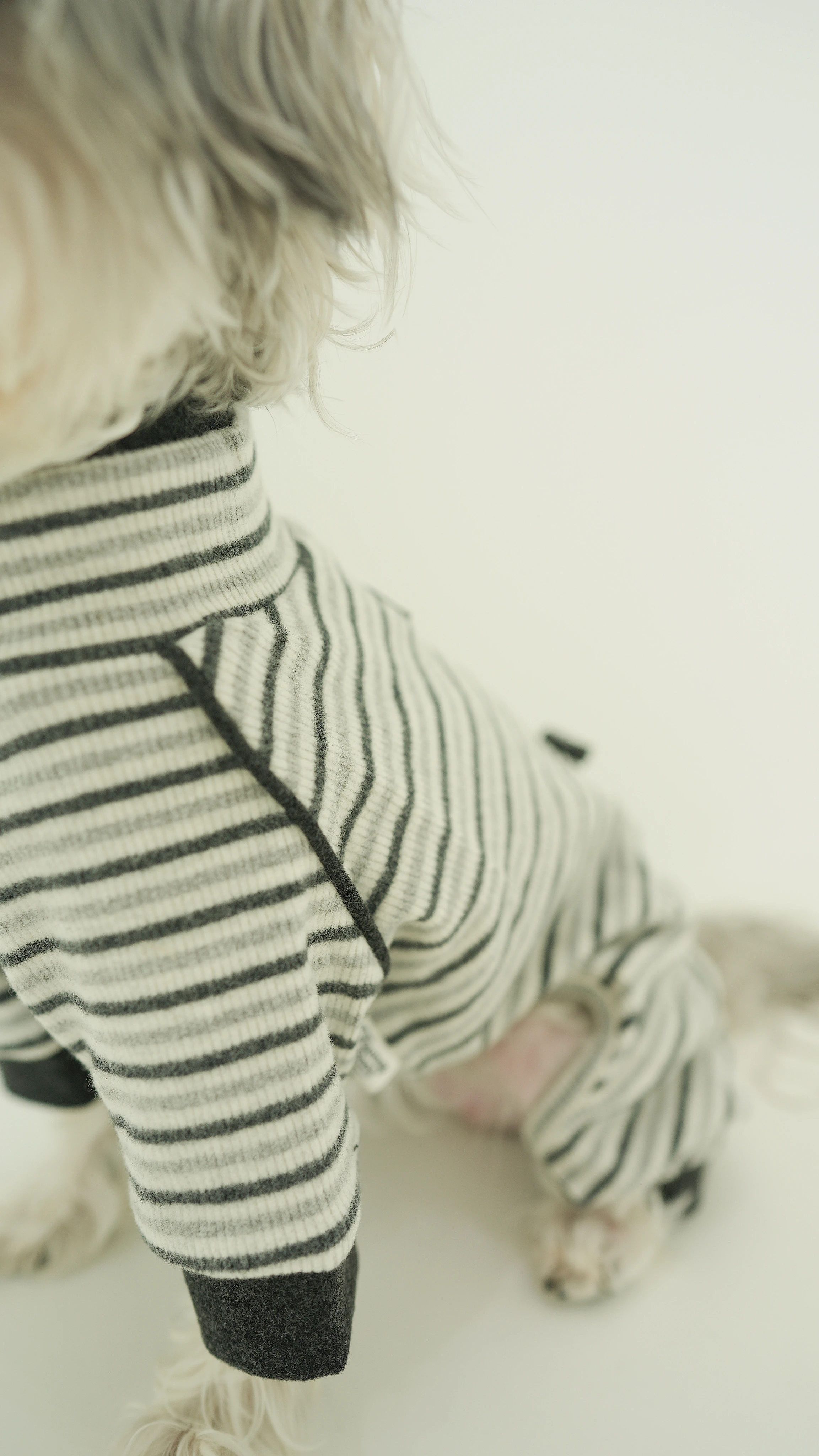 PWH寵物服飾