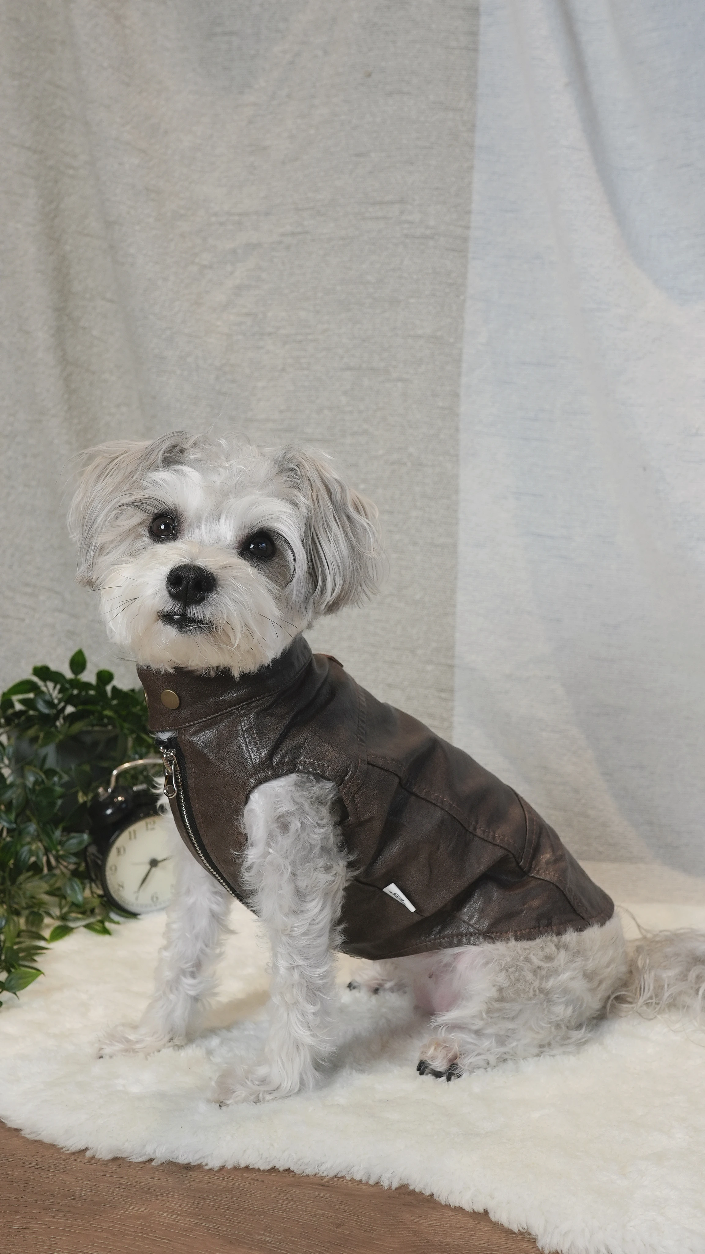 PWH寵物服飾