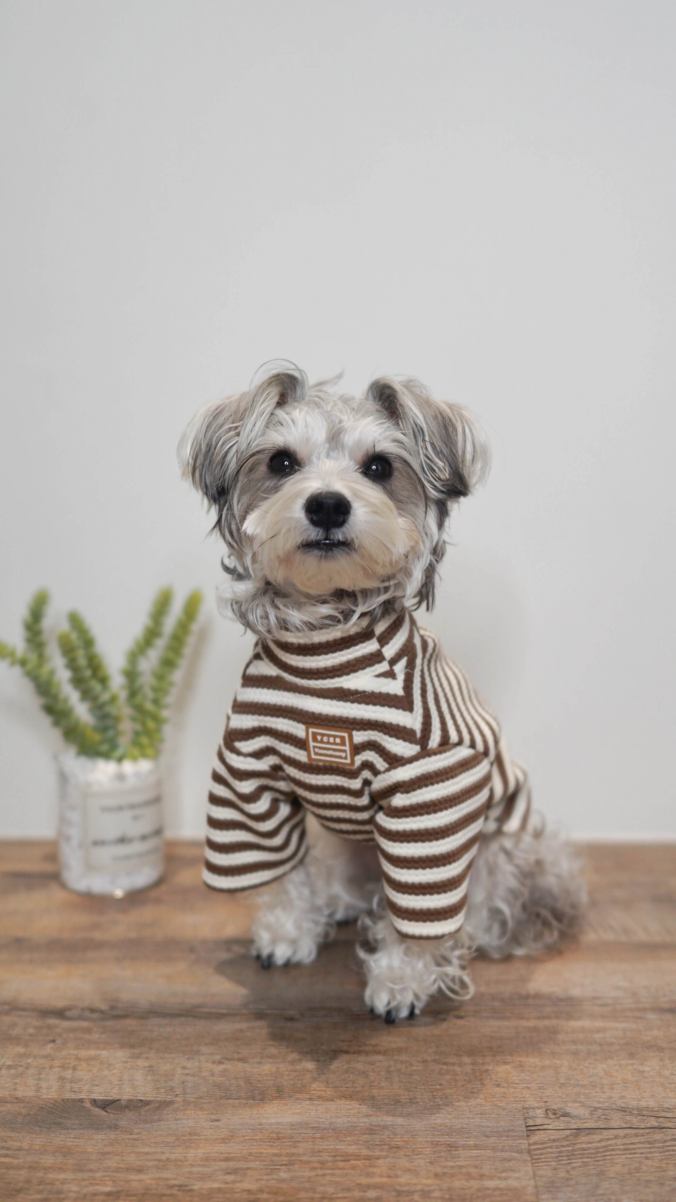 PWH寵物服飾