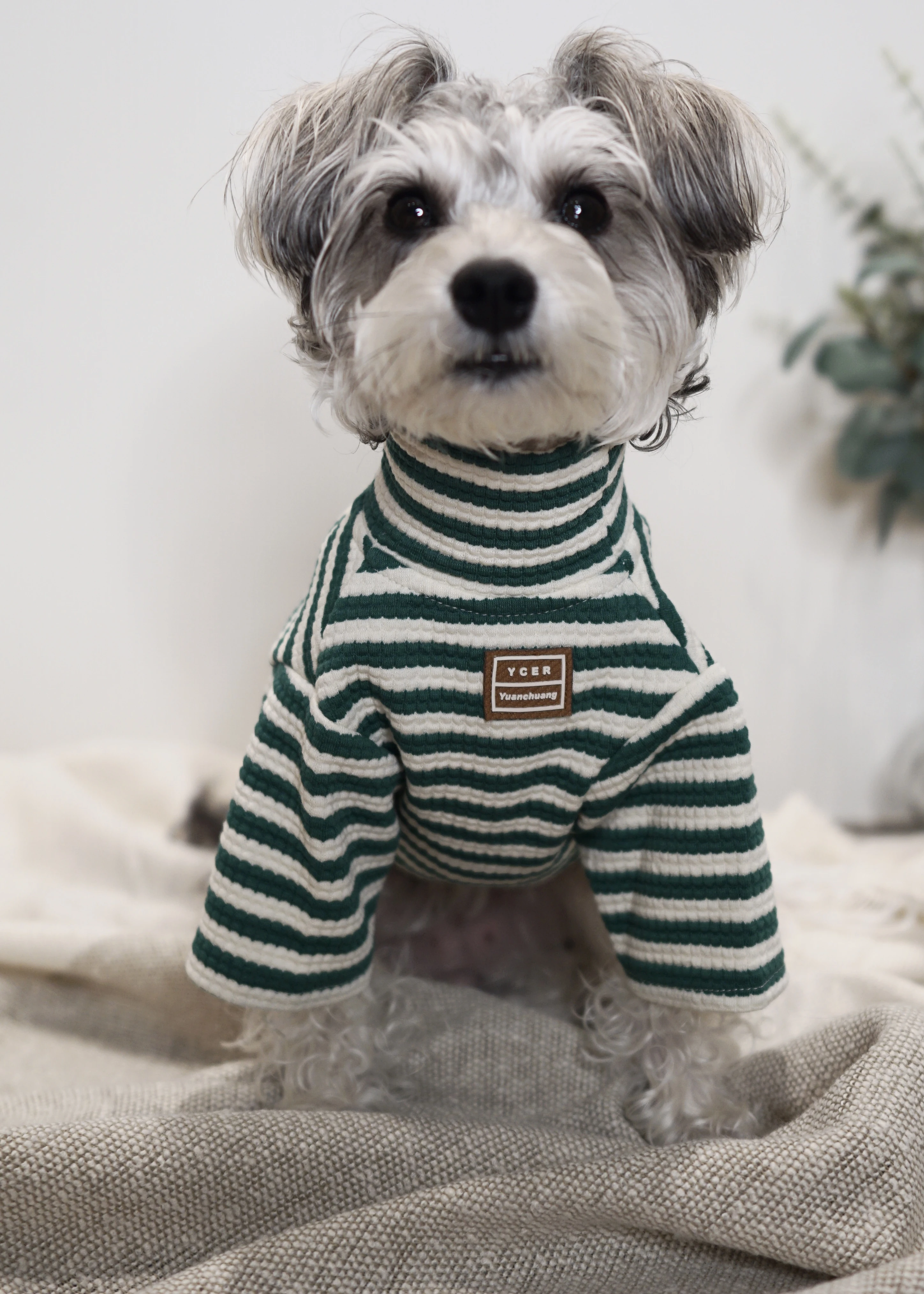 PWH寵物服飾