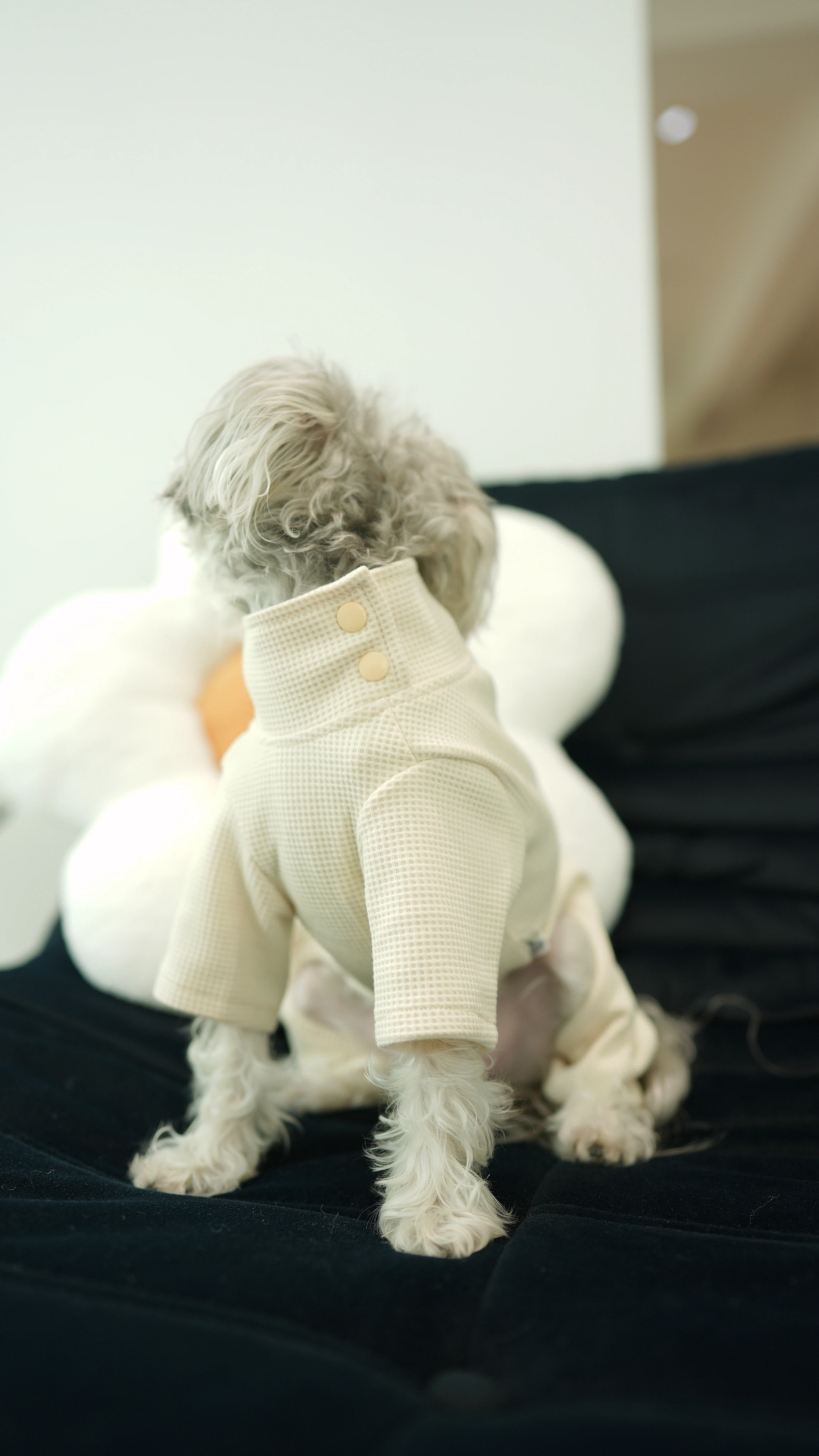 PWH寵物服飾