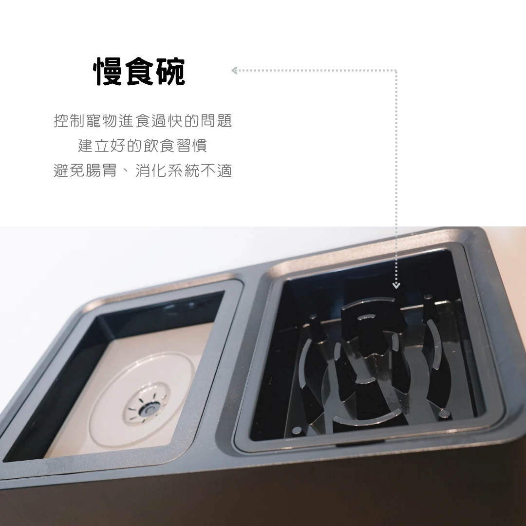 寵物升降餐桌