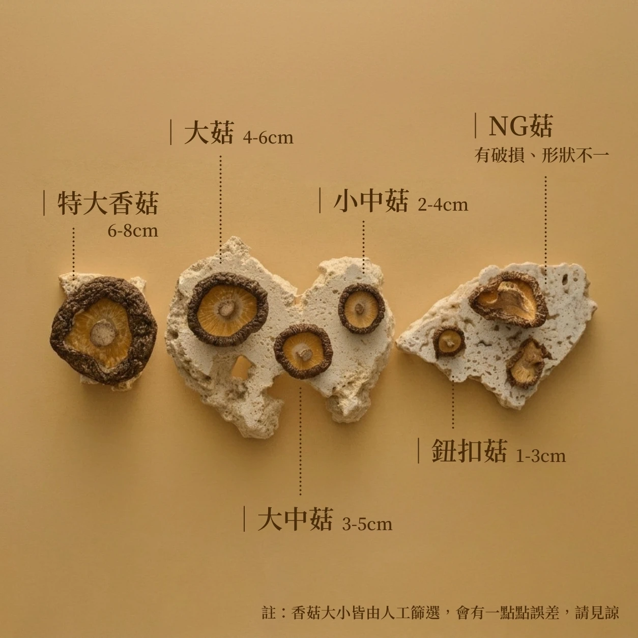 嚴選鈕扣菇-100克
