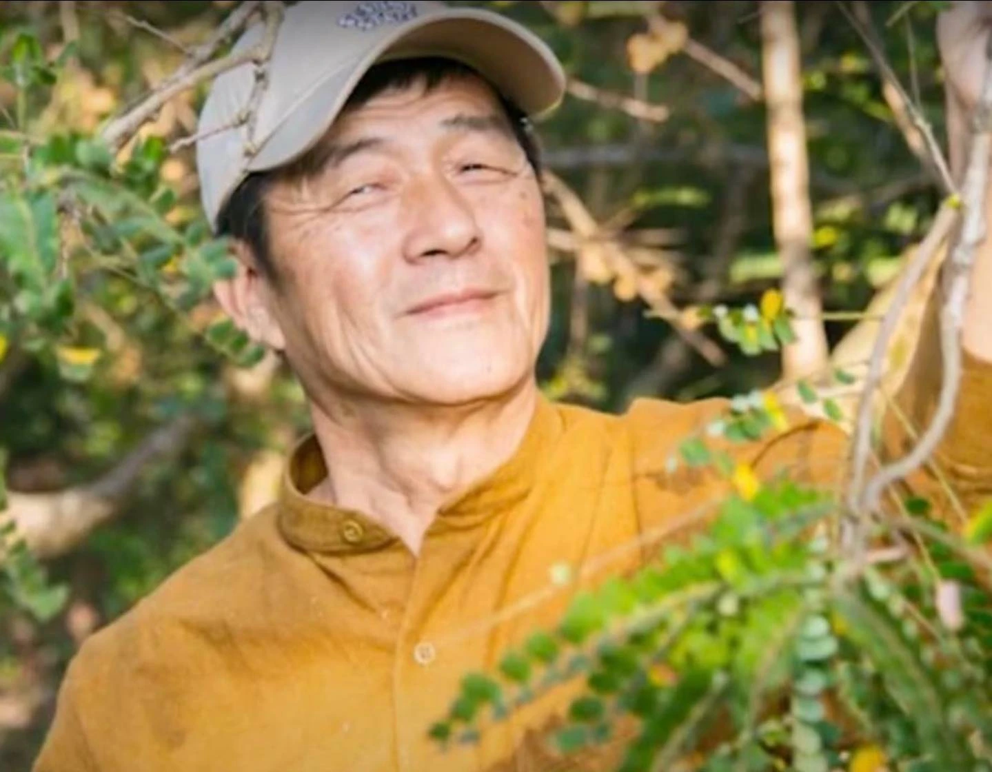 為什麼我堅持守護這顆 100多年的油甘樹？從徐爸的一口「回甘」開始的品牌故事