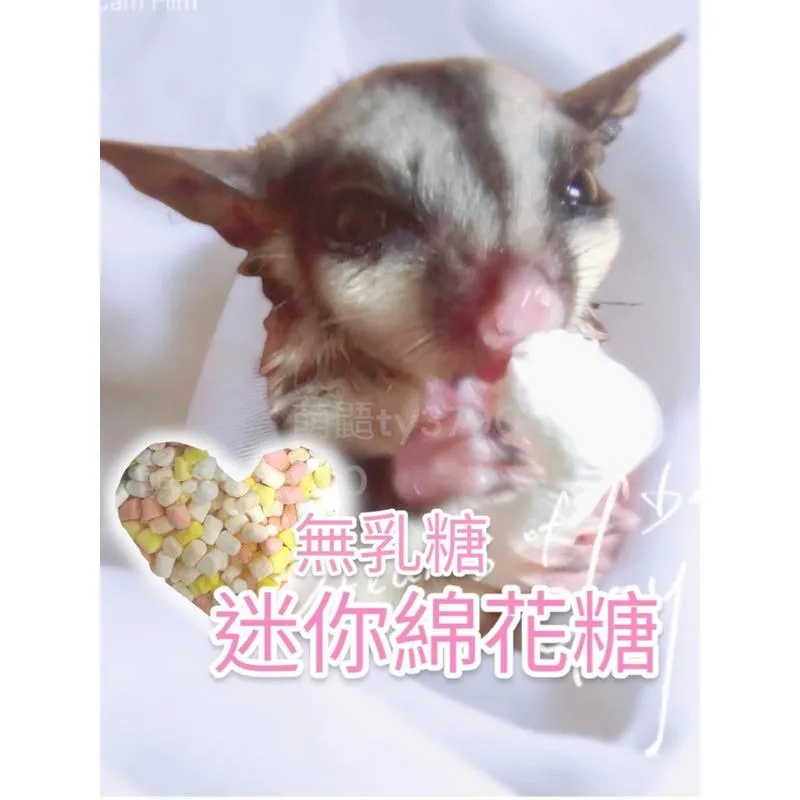 無乳糖迷你棉花糖40g  ➔