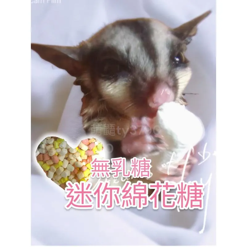 無乳糖迷你棉花糖40g  ➔