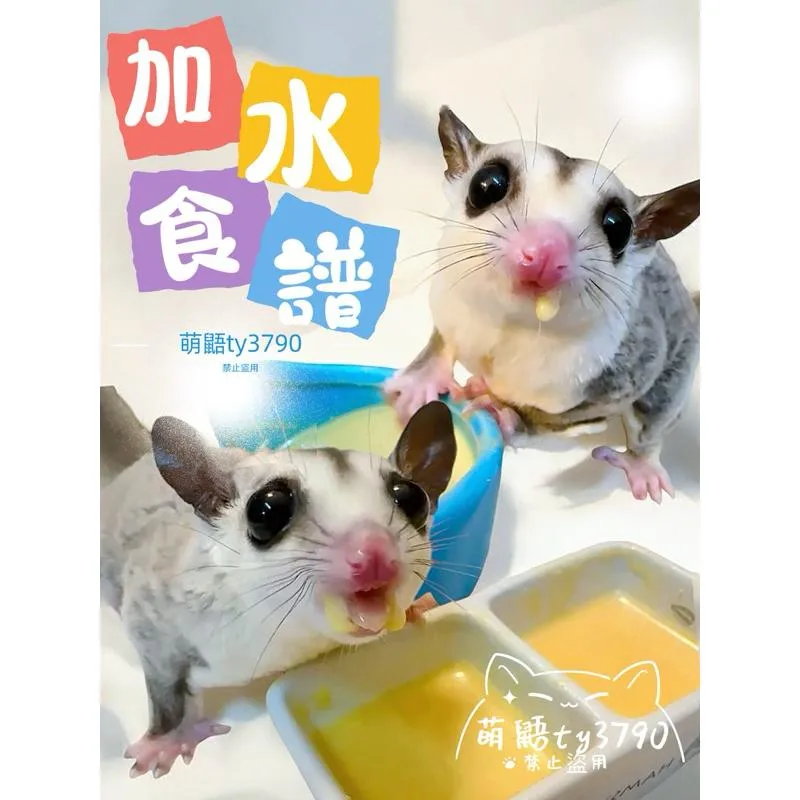 現調【蜜袋鼯食譜粉】｜HPW/BML/GHPW｜加水即食主食｜➔