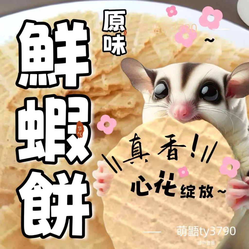 【蝦濃原味蝦餅】60%↑真蝦肉｜一包3片 × 6包入｜零食獨立小包裝➔