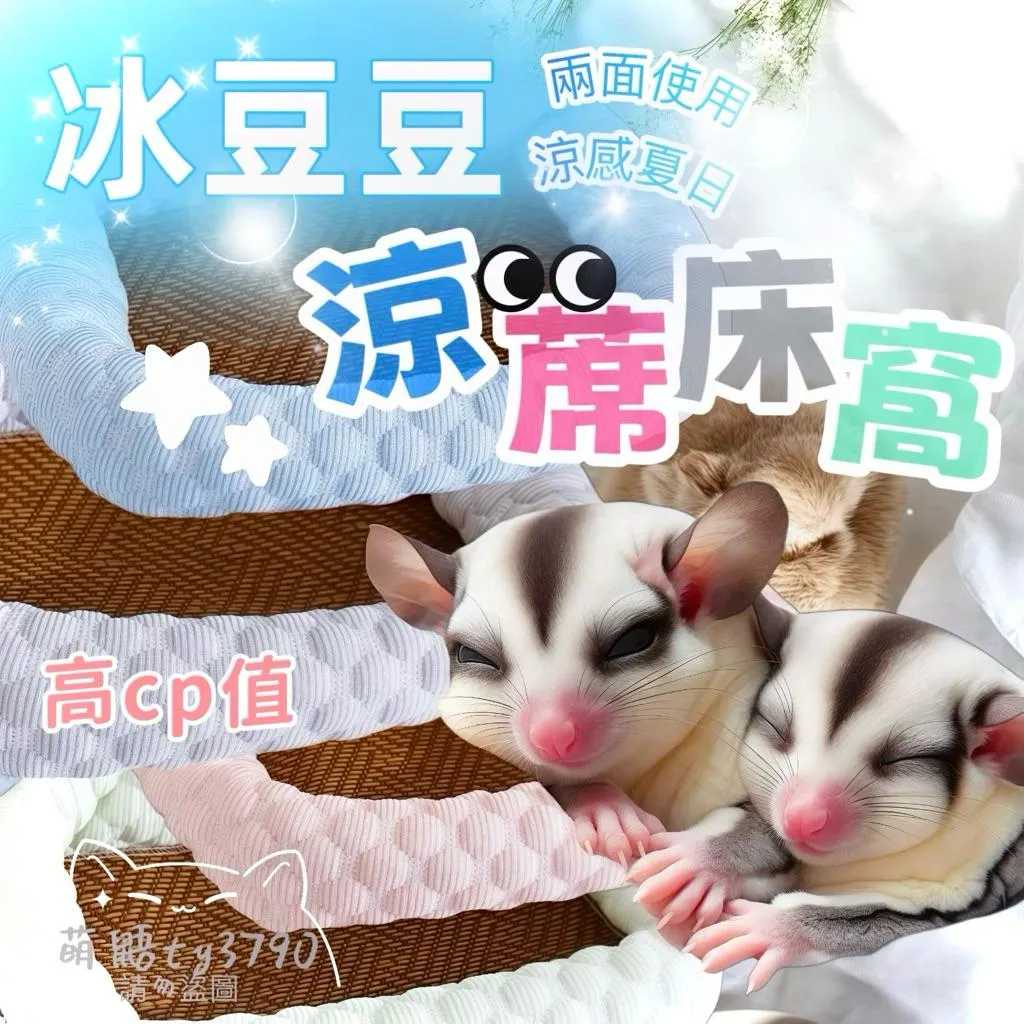 (出清)-蜜袋鼯🧊冰豆豆涼感涼席方窩｜雙面內墊涼席跟涼感布｜CP值超高➔