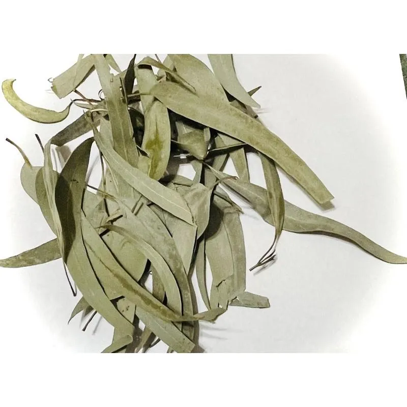 (熱賣)桉樹葉５５g-蜜袋鼯界貓草➔