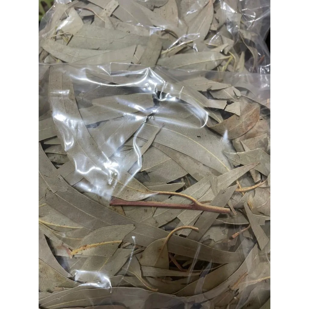 (熱賣)桉樹葉５５g-蜜袋鼯界貓草➔