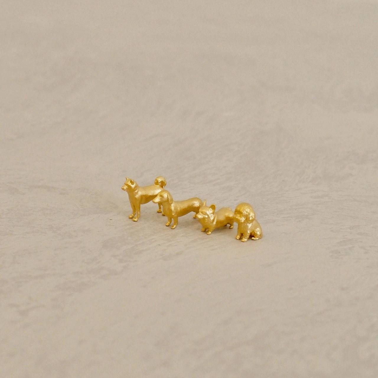 狗狗系列金豆