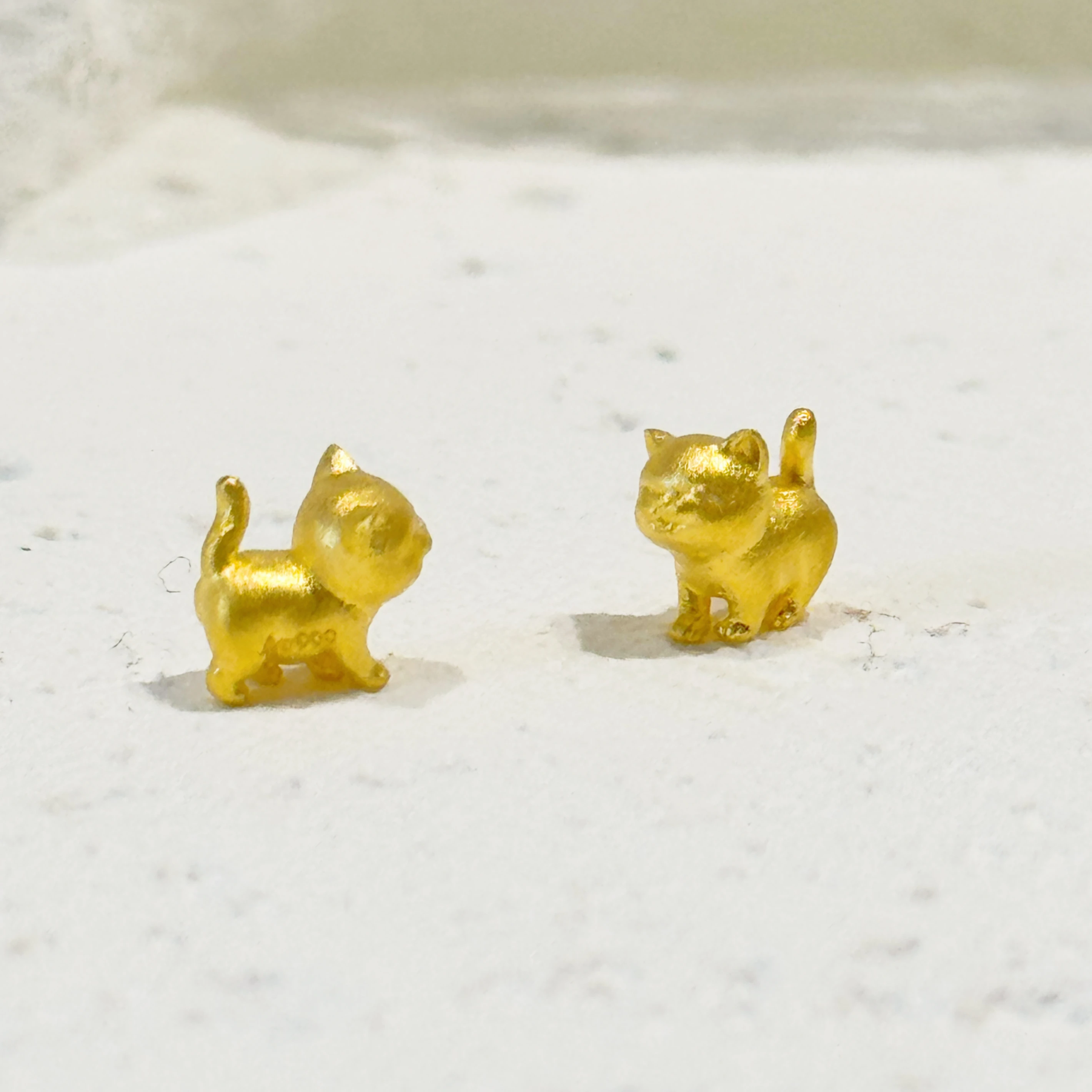 公貓母貓金豆