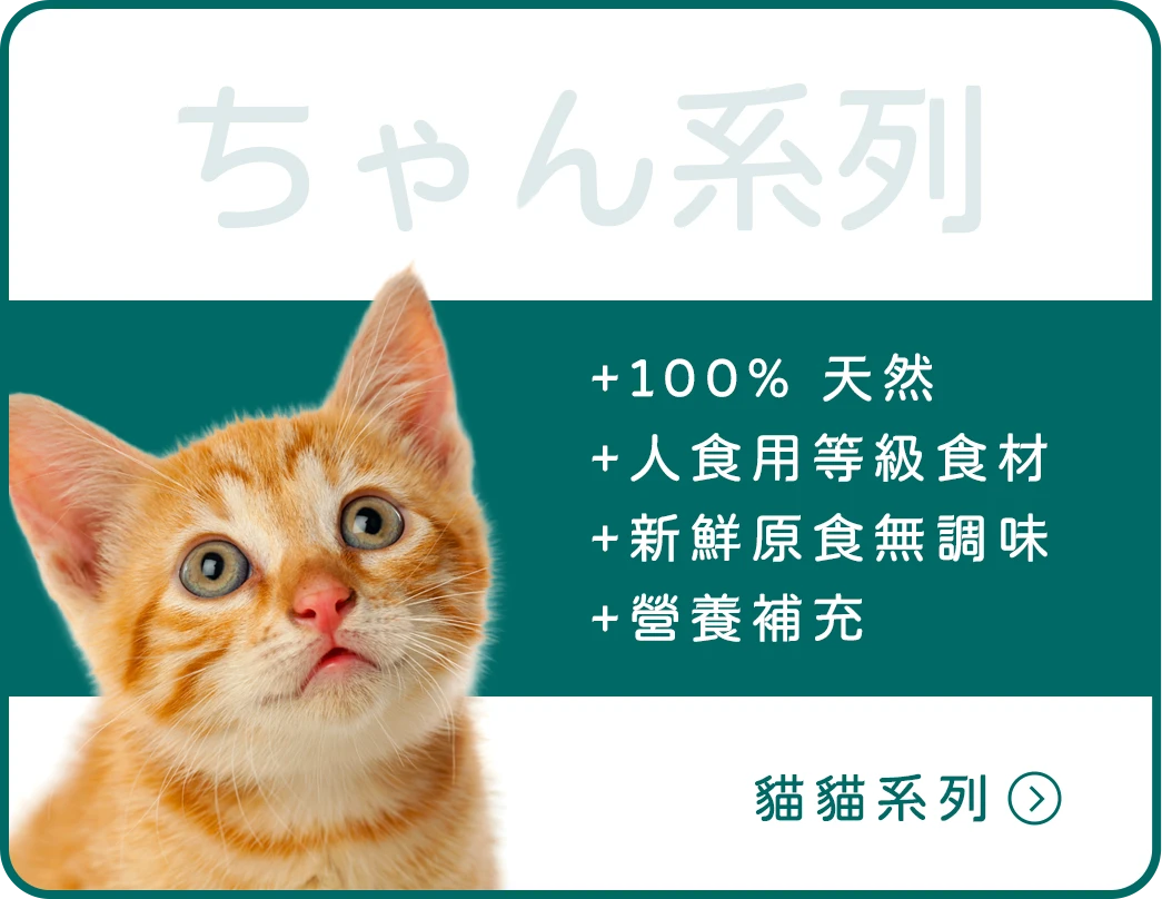 貓貓系列