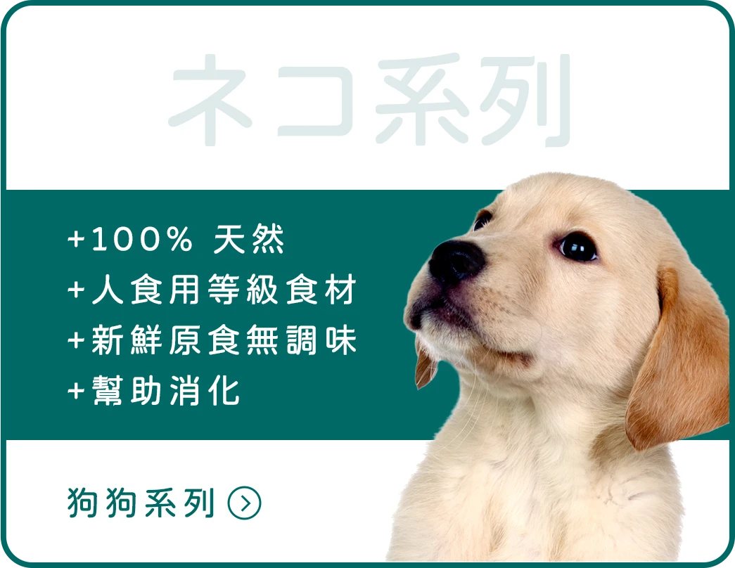 狗狗系列